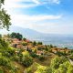 pieria_13
