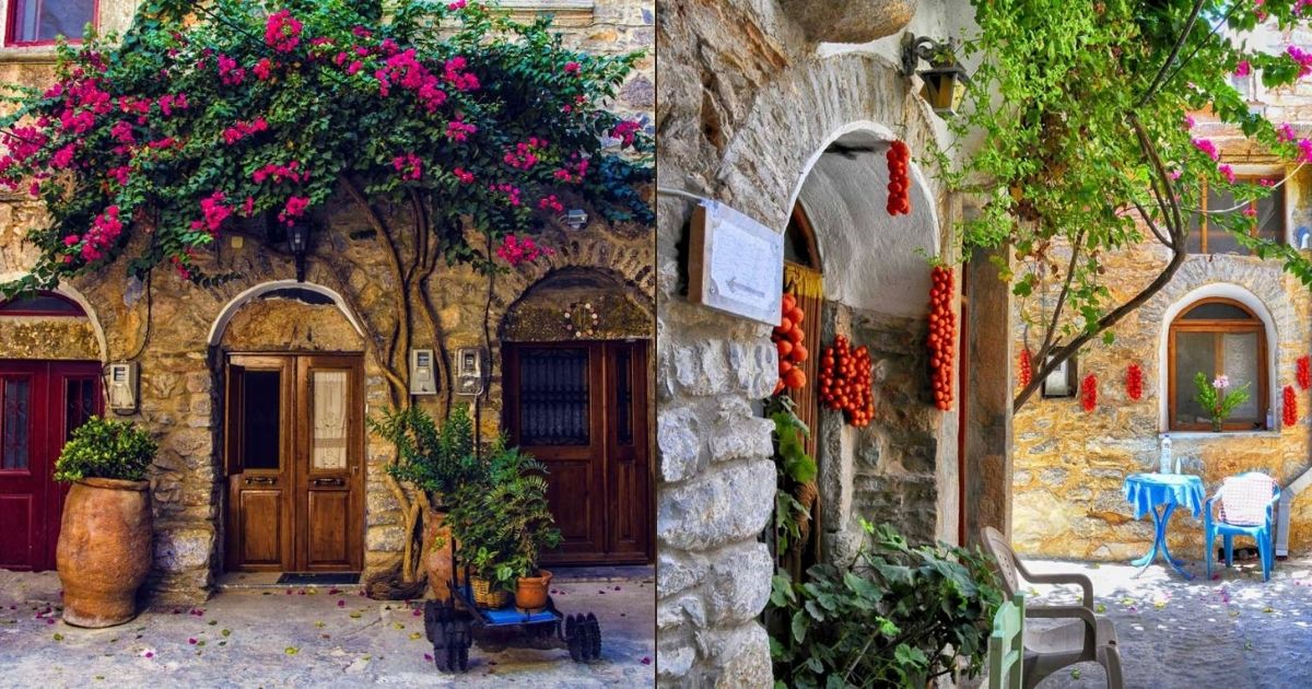 Μαστιχοχώρια Τα χωριά της Χίου με άρωμα μαστίχας