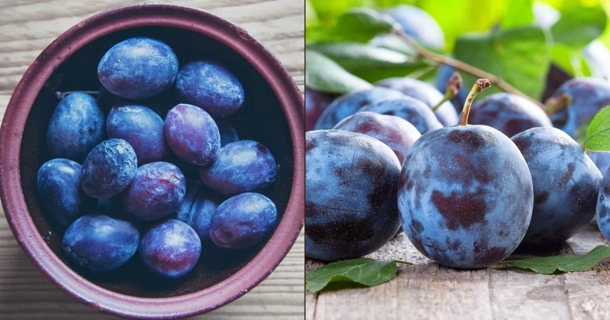 Δαμάσκηνο Ένας θαυματουργός καρπός