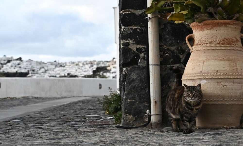 5d6a72_santorini_seismos
