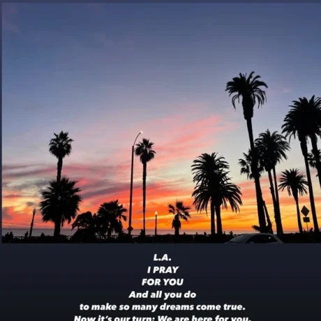 c0844be133374b90b5ddf5048c8b1588