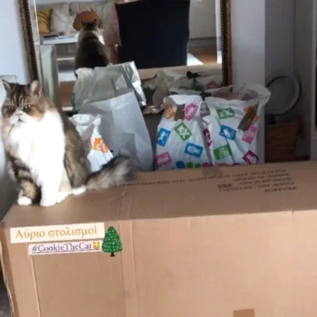 voskopoulou_spiti-scaled