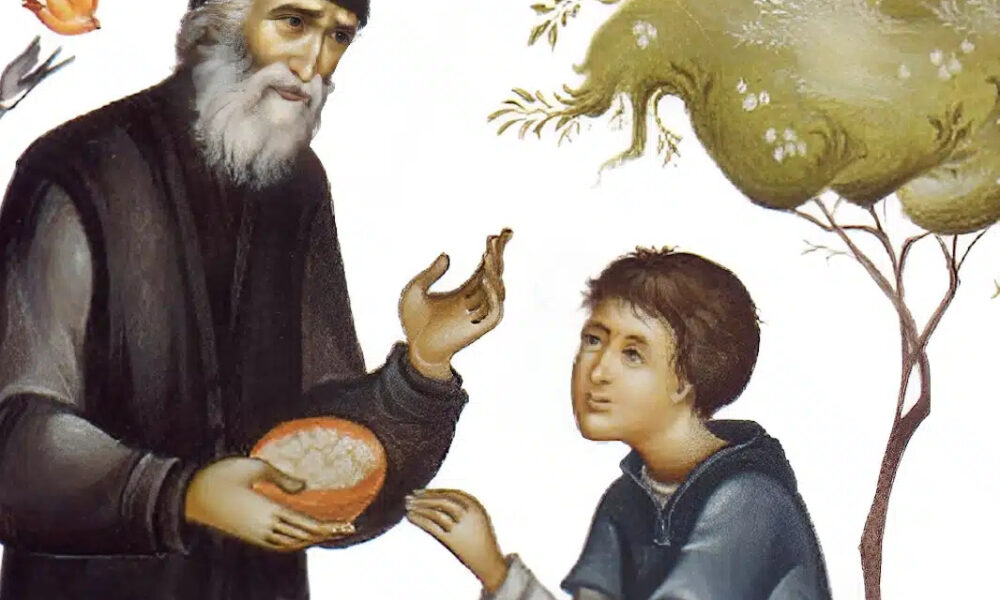 agios-paisios-to-maloma-kai-o-epainos-tou