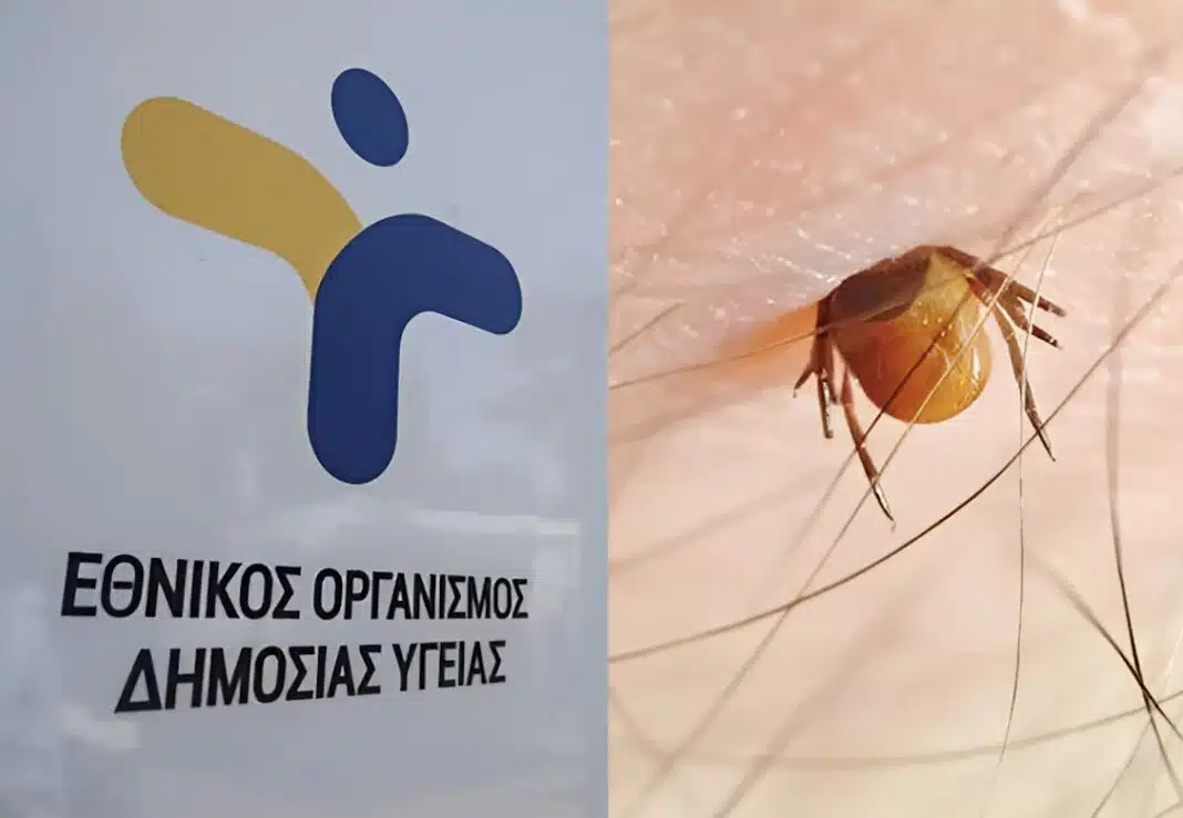 stigmiotypo-othonis-2025-03-27-14.59.53-1068×739.jpg