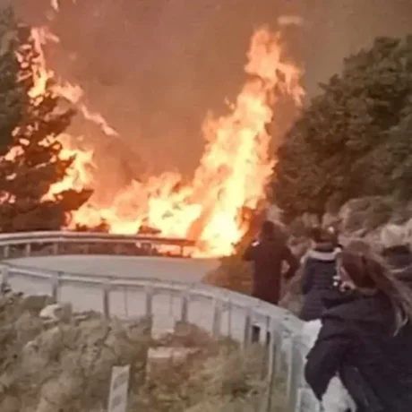 ζζζζζζζζζζζζζζζζζζζζζζζζζ