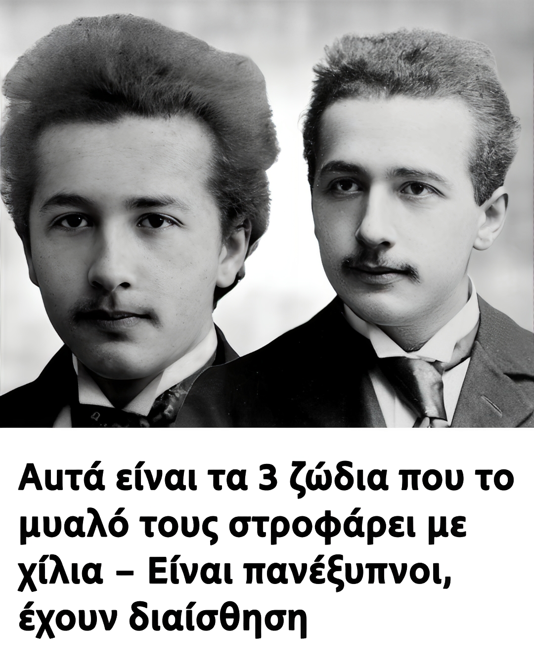 487506189_1056437789862862_9122971109004277520_n