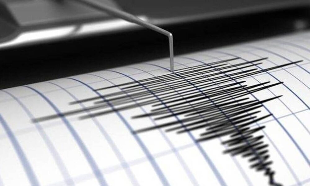 1718176659242-229136380-seismografos