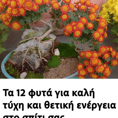 491920383_1074917774681530_2590986154541657138_n