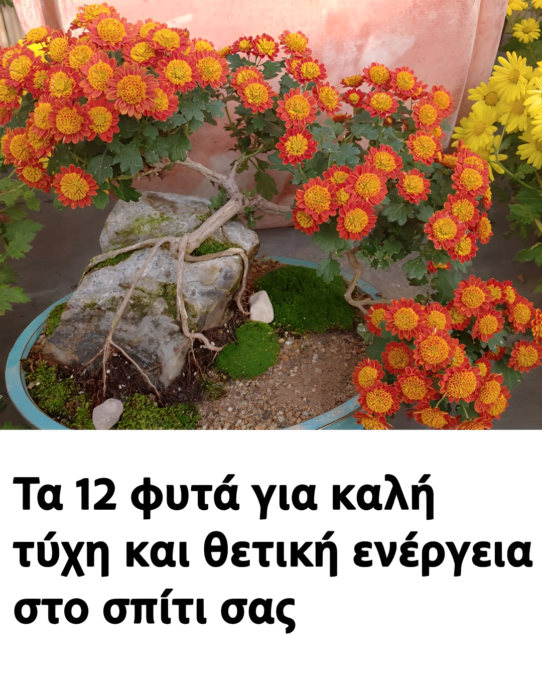 491920383_1074917774681530_2590986154541657138_n