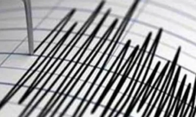 Seismografos_new-1536×618