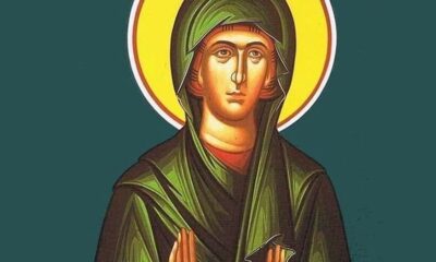 1d8ba323-agia-pelagia