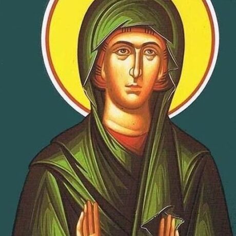 1d8ba323-agia-pelagia