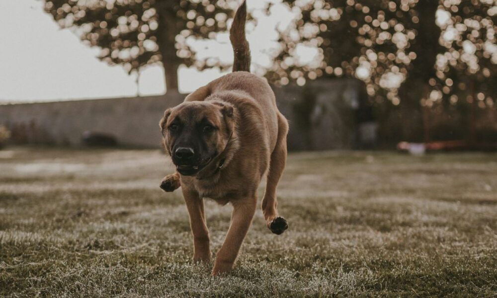 933bf66c-maeva-vigier-oq_kKMLcDc8-unsplash