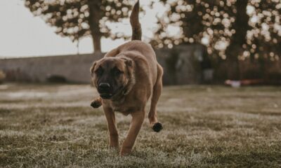 933bf66c-maeva-vigier-oq_kKMLcDc8-unsplash