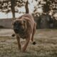 933bf66c-maeva-vigier-oq_kKMLcDc8-unsplash