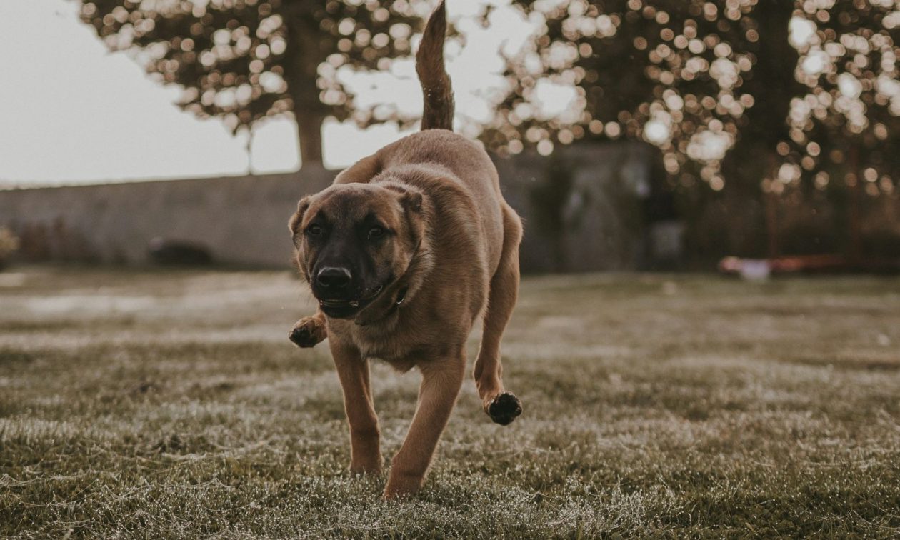 933bf66c-maeva-vigier-oq_kKMLcDc8-unsplash