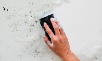 559b575c-mold-in-the-bathroom