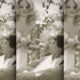 AlikiBougiouklaki-Xylopita