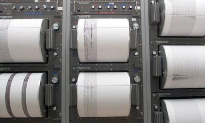 7d1c5670-36bd-4c1a-8d4a-f2239cc8b5ad-875×473