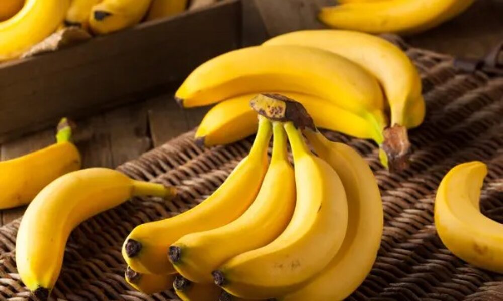 chiquita-ana-600×450