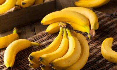 chiquita-ana-600×450