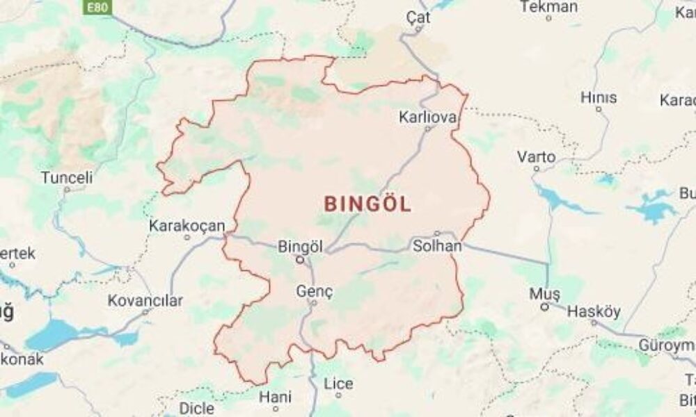 9a303803-bingiol