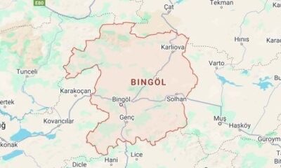 9a303803-bingiol