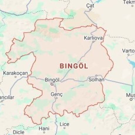 9a303803-bingiol