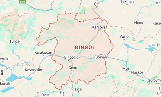 9a303803-bingiol