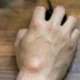 8-116.jpg