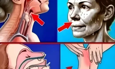 b.jpg
