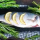 top-8-kinds-of-fish-you-should-never-eat-3.png