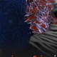 491186824_1638203790213868_7454435911956317383_n-900×473
