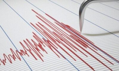 d8afaccd-seismografos-768×432