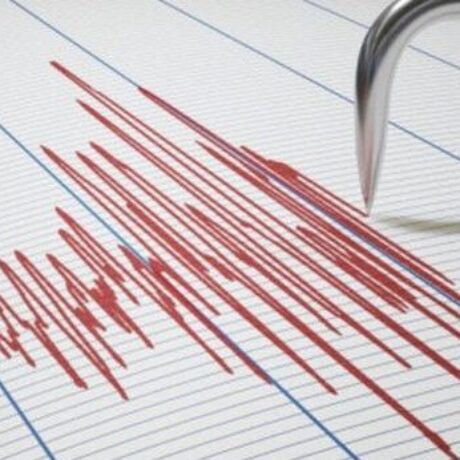 d8afaccd-seismografos-768×432