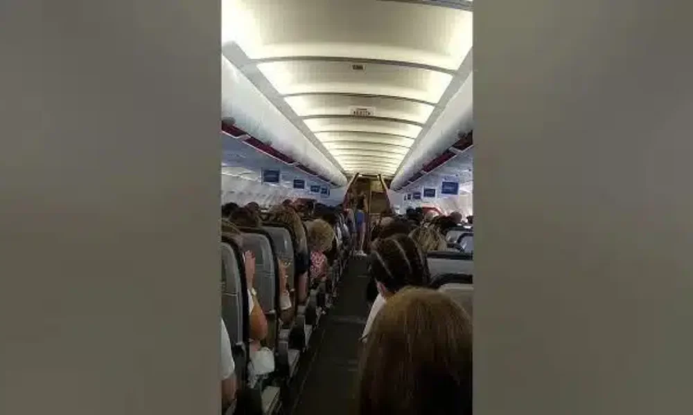 17686511196999321347.jpg
