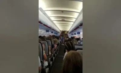 17686511196999321347.jpg