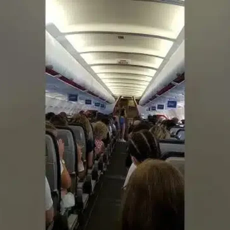 17686511196999321347.jpg