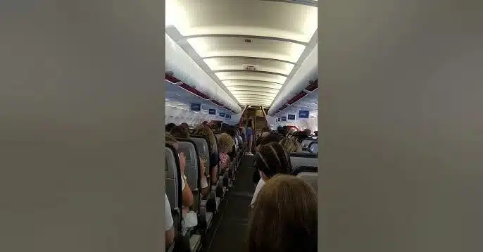 17686511196999321347.jpg