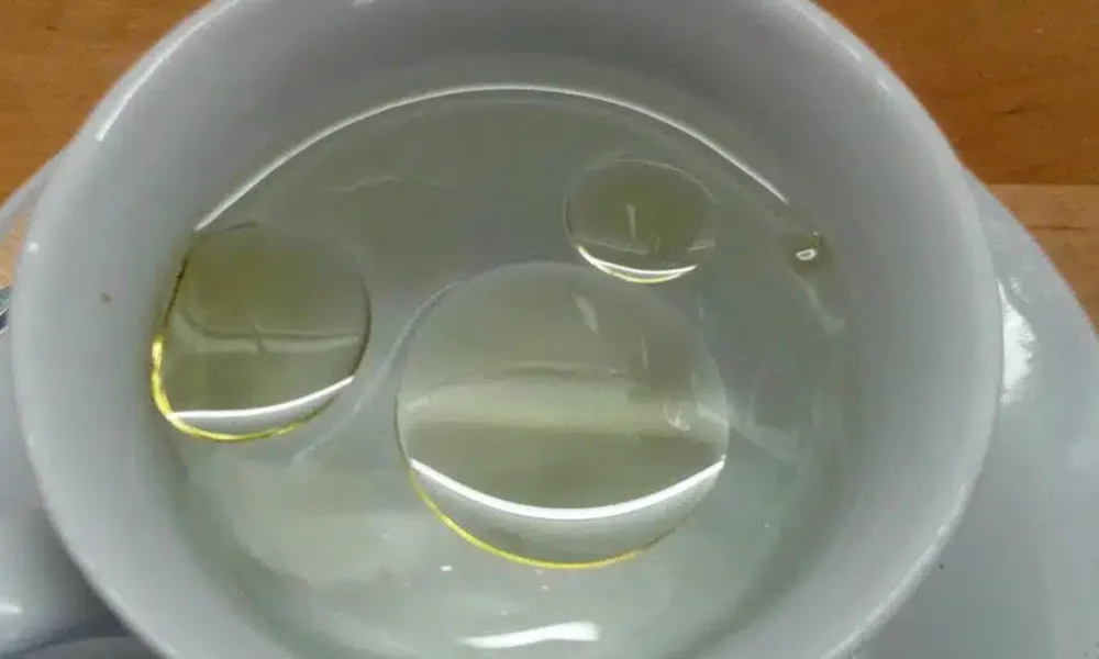 9457549421697746073.jpg