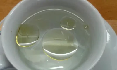 9457549421697746073.jpg