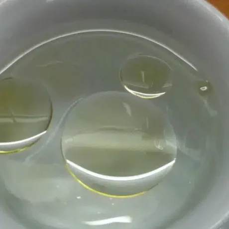 9457549421697746073.jpg