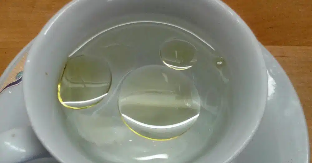 9457549421697746073.jpg