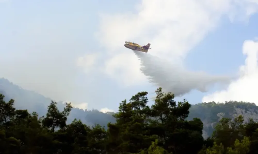 Fotia_canadair.jpg