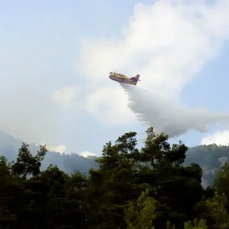 Fotia_canadair.jpg