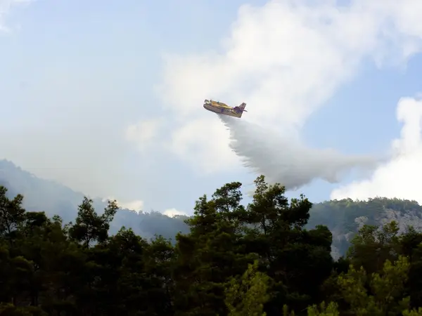 Fotia_canadair.jpg