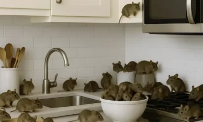 stigmiotypo-othonis-2025-05-11-21.49.21.jpg-900×473