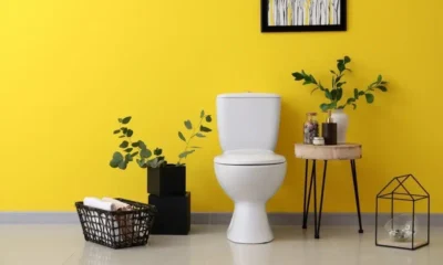 toilet-bowl-cleaner_1200x1200