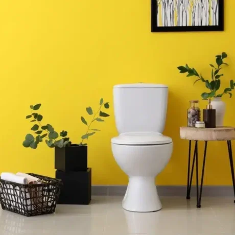 toilet-bowl-cleaner_1200x1200