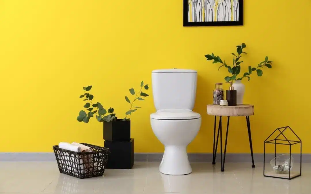 toilet-bowl-cleaner_1200x1200